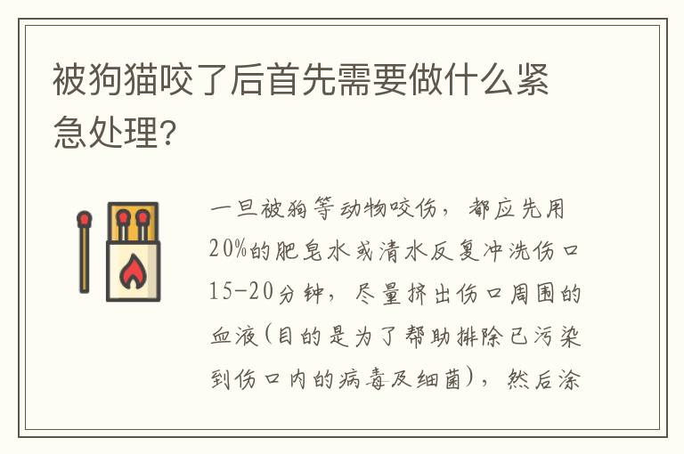 被狗猫咬了后首先需要做什么紧急处理?