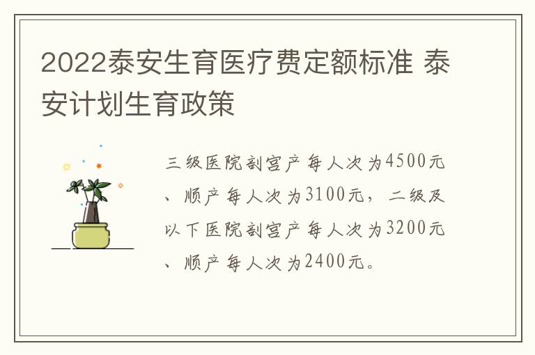 2022泰安生育医疗费定额标准 泰安计划生育政策
