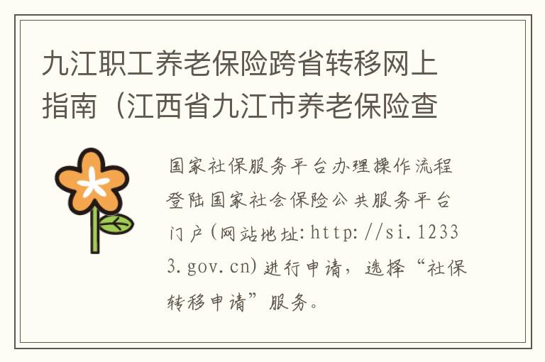 九江职工养老保险跨省转移网上指南（江西省九江市养老保险查询）
