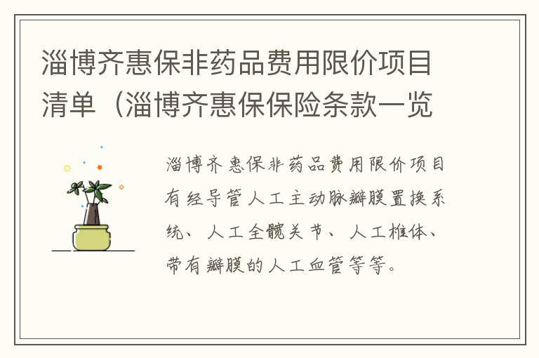 淄博齐惠保非药品费用限价项目清单（淄博齐惠保保险条款一览）