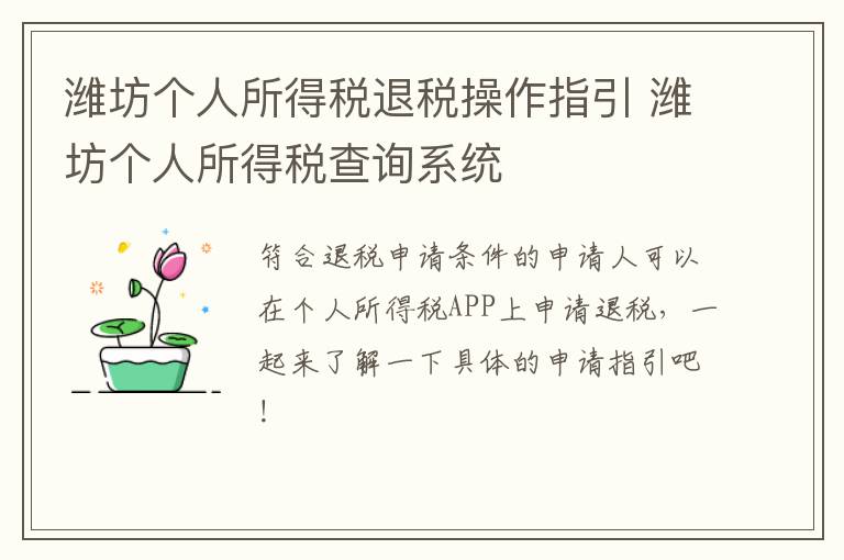 潍坊个人所得税退税操作指引 潍坊个人所得税查询系统
