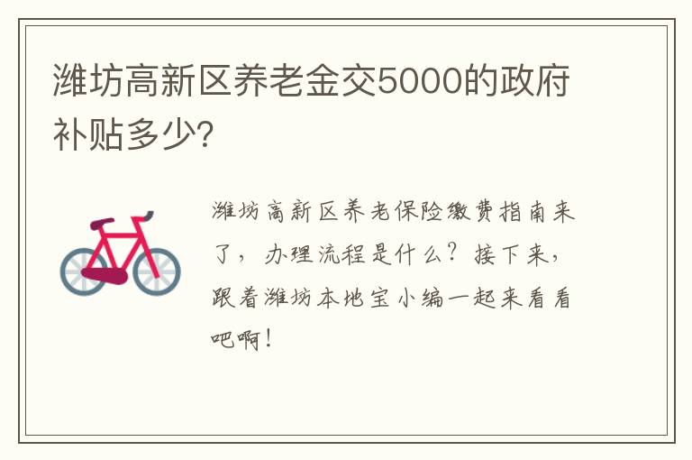 潍坊高新区养老金交5000的政府补贴多少？