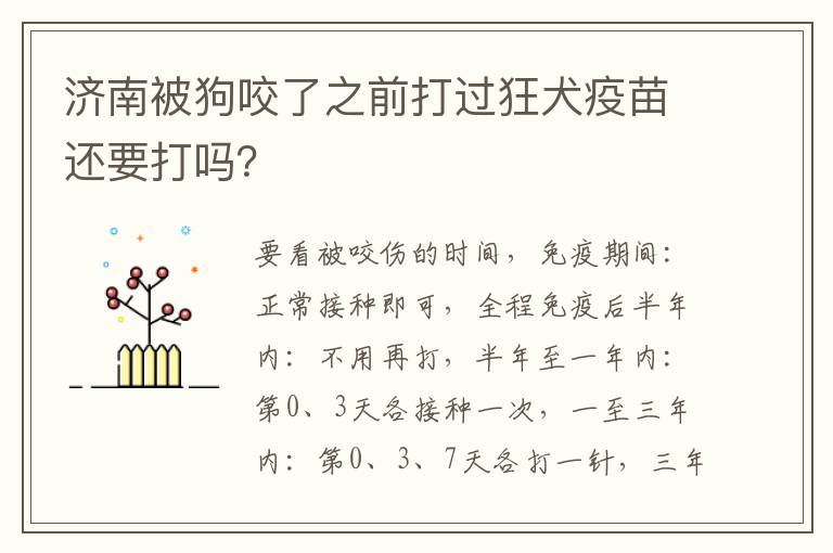 济南被狗咬了之前打过狂犬疫苗还要打吗？