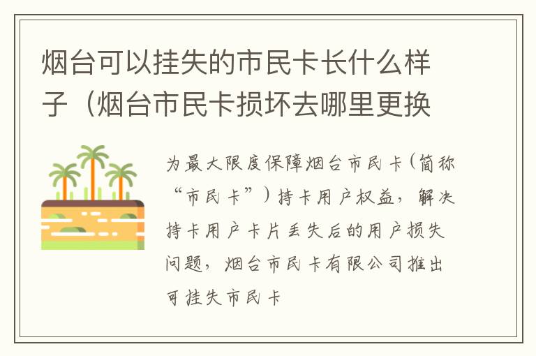 烟台可以挂失的市民卡长什么样子（烟台市民卡损坏去哪里更换）