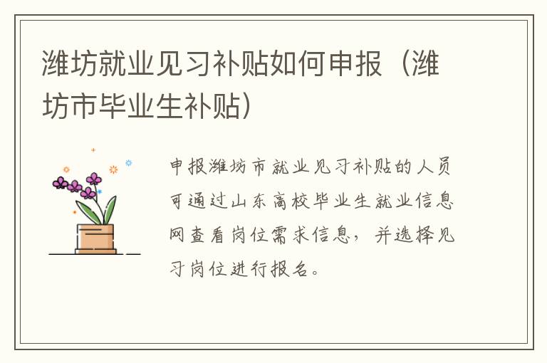 潍坊就业见习补贴如何申报（潍坊市毕业生补贴）