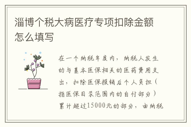 淄博个税大病医疗专项扣除金额怎么填写