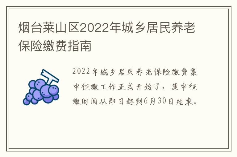 烟台莱山区2022年城乡居民养老保险缴费指南