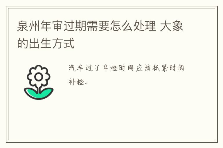 泉州年审过期需要怎么处理 大象的出生方式