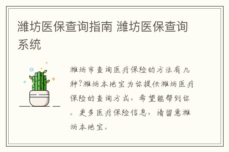 潍坊医保查询指南 潍坊医保查询系统