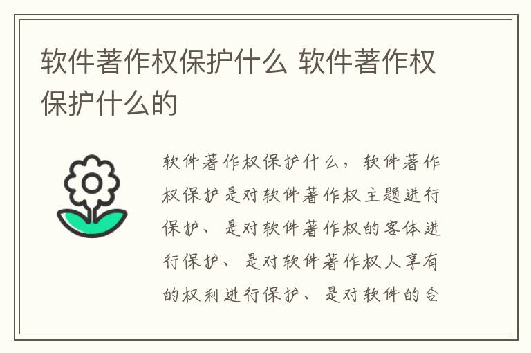 软件著作权保护什么 软件著作权保护什么的