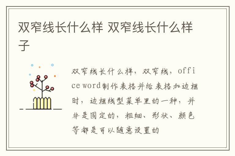 双窄线长什么样 双窄线长什么样子