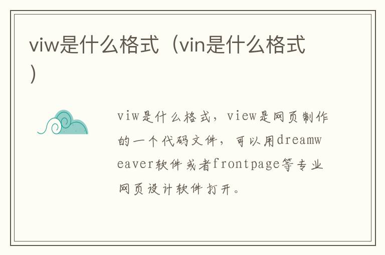 viw是什么格式（vin是什么格式）