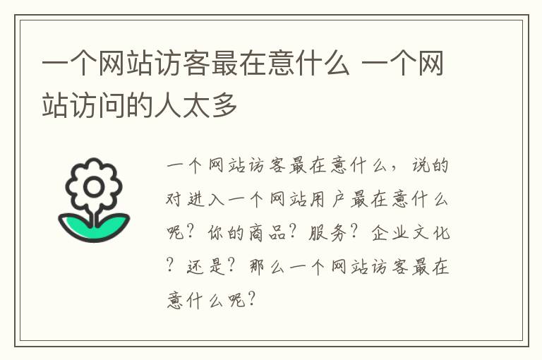 一个网站访客最在意什么 一个网站访问的人太多
