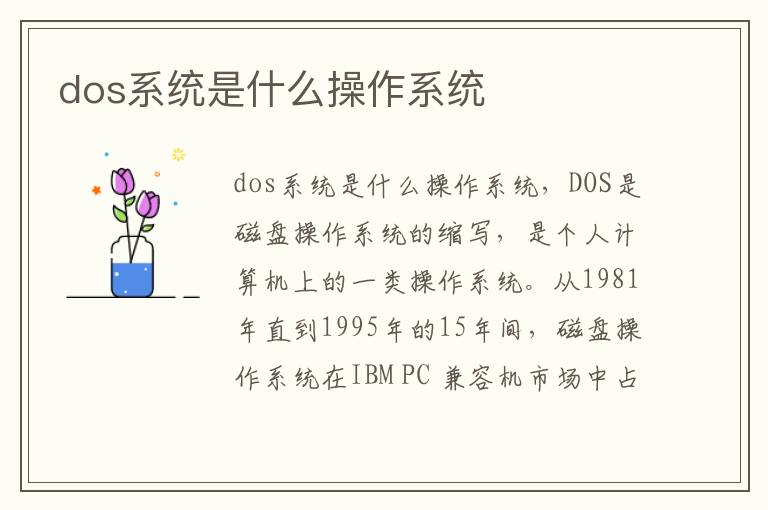 dos系统是什么操作系统