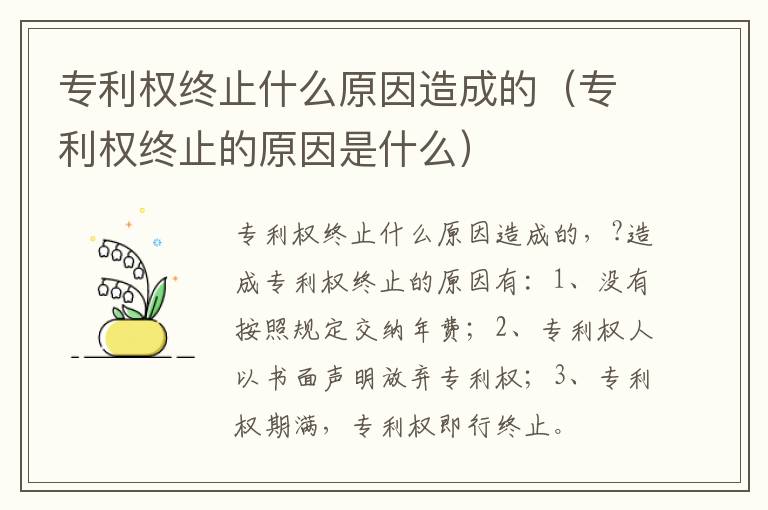 专利权终止什么原因造成的（专利权终止的原因是什么）