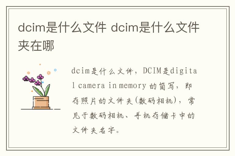 dcim是什么文件 dcim是什么文件夹在哪