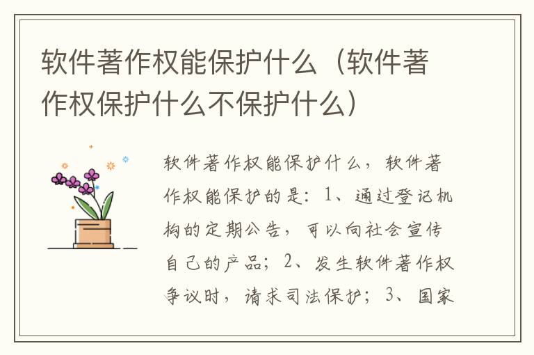 软件著作权能保护什么（软件著作权保护什么不保护什么）