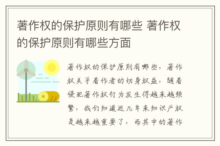 著作权的保护原则有哪些 著作权的保护原则有哪些方面