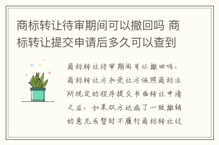 商标转让待审期间可以撤回吗 商标转让提交申请后多久可以查到