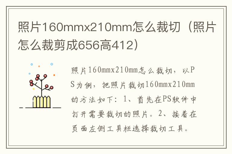 照片160mmx210mm怎么裁切（照片怎么裁剪成656高412）