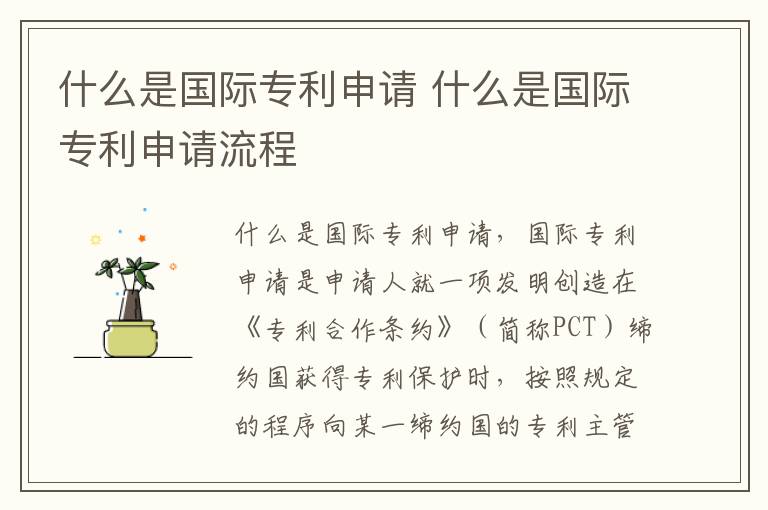 什么是国际专利申请 什么是国际专利申请流程