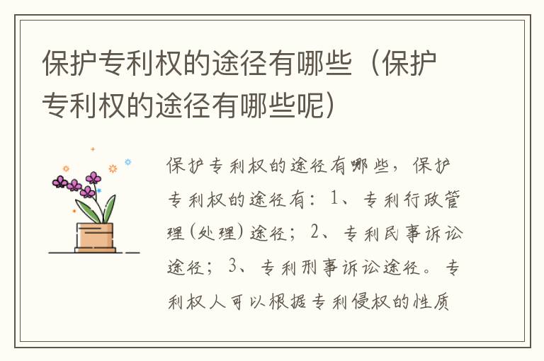 保护专利权的途径有哪些（保护专利权的途径有哪些呢）