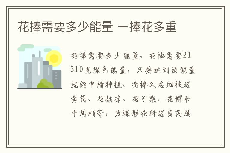 花捧需要多少能量 一捧花多重