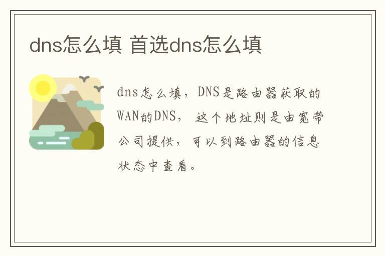 dns怎么填 首选dns怎么填