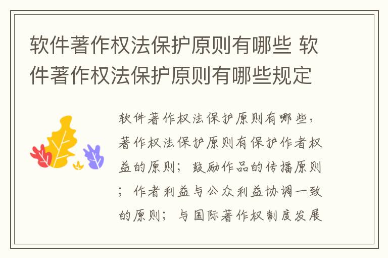 软件著作权法保护原则有哪些 软件著作权法保护原则有哪些规定