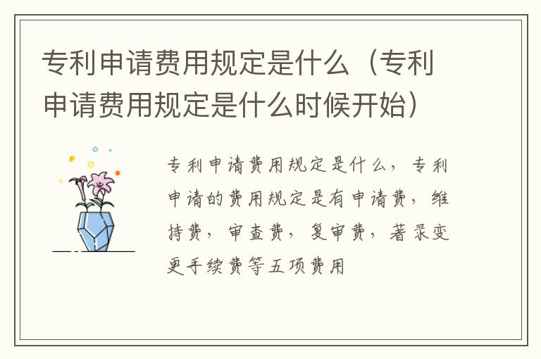 专利申请费用规定是什么（专利申请费用规定是什么时候开始）
