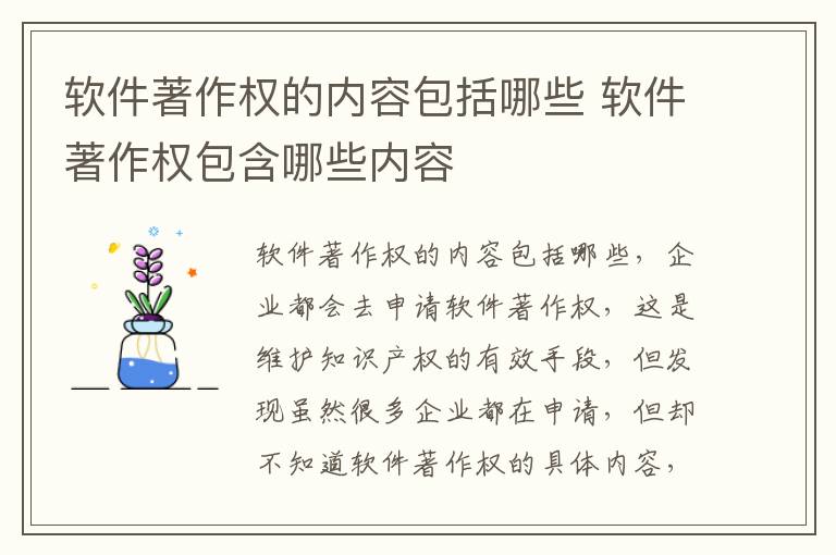 软件著作权的内容包括哪些 软件著作权包含哪些内容