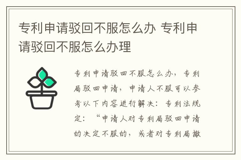 专利申请驳回不服怎么办 专利申请驳回不服怎么办理