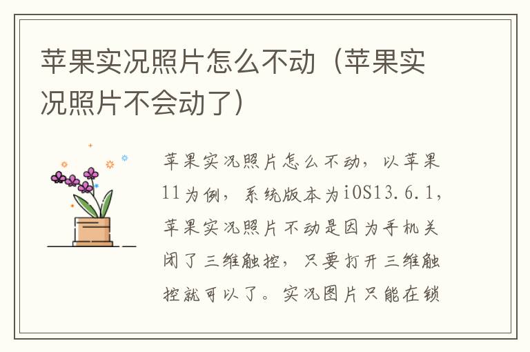 苹果实况照片怎么不动（苹果实况照片不会动了）