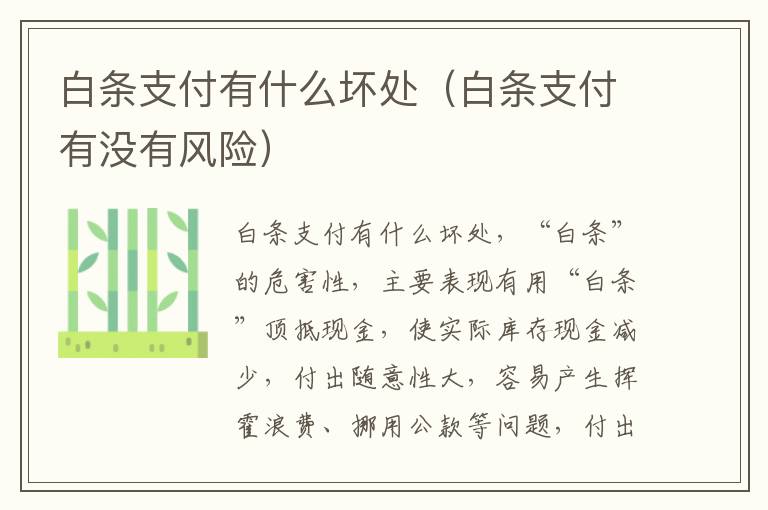 白条支付有什么坏处（白条支付有没有风险）