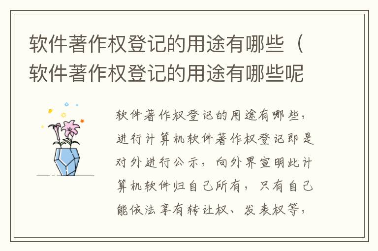 软件著作权登记的用途有哪些（软件著作权登记的用途有哪些呢）