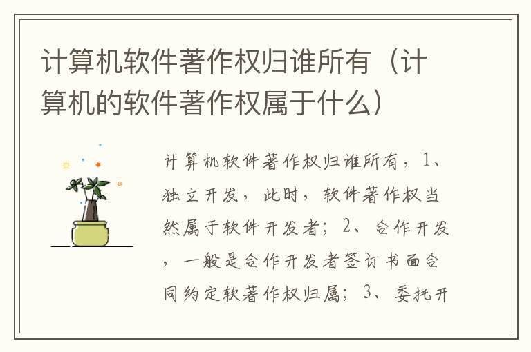 计算机软件著作权归谁所有（计算机的软件著作权属于什么）