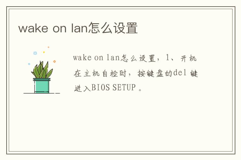 wake on lan怎么设置