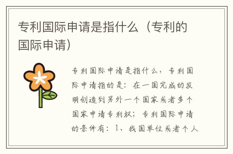 专利国际申请是指什么（专利的国际申请）