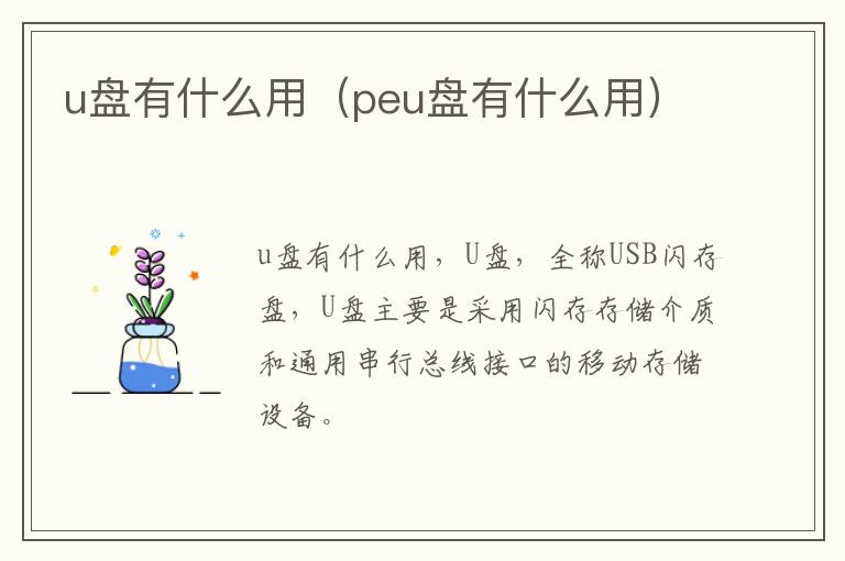 u盘有什么用（peu盘有什么用）