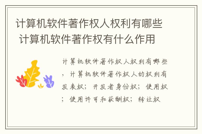 计算机软件著作权人权利有哪些 计算机软件著作权有什么作用