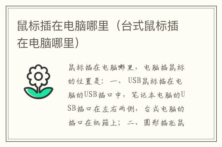 鼠标插在电脑哪里（台式鼠标插在电脑哪里）
