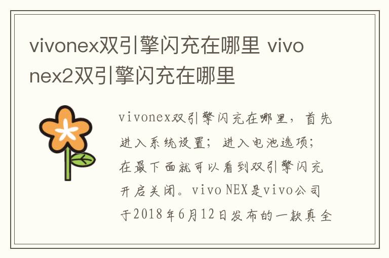 vivonex双引擎闪充在哪里 vivonex2双引擎闪充在哪里