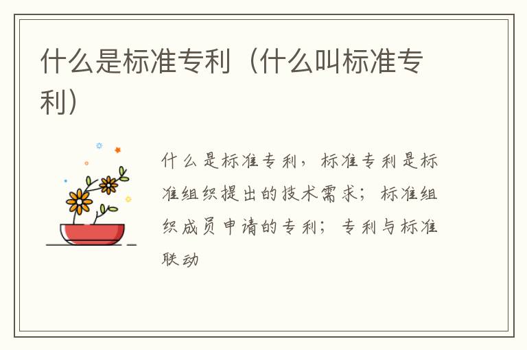 什么是标准专利（什么叫标准专利）