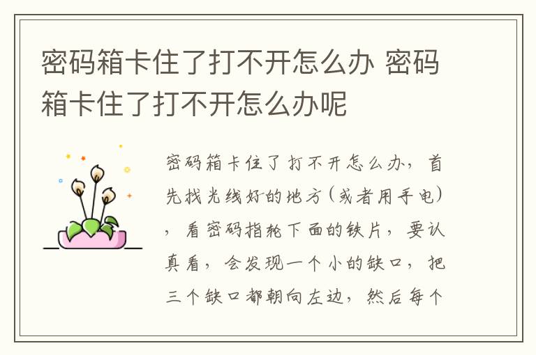 密码箱卡住了打不开怎么办 密码箱卡住了打不开怎么办呢