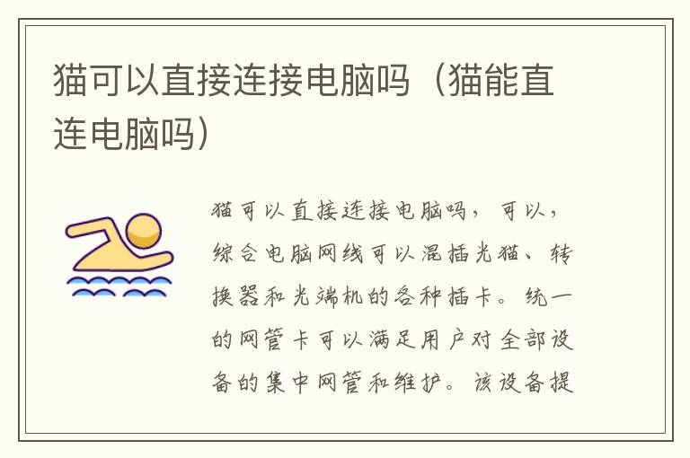 猫可以直接连接电脑吗（猫能直连电脑吗）