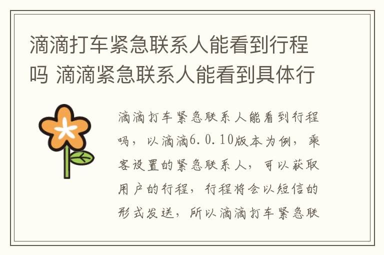 滴滴打车紧急联系人能看到行程吗 滴滴紧急联系人能看到具体行程吗
