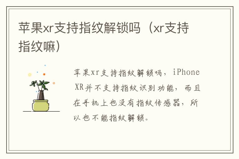 苹果xr支持指纹解锁吗（xr支持指纹嘛）