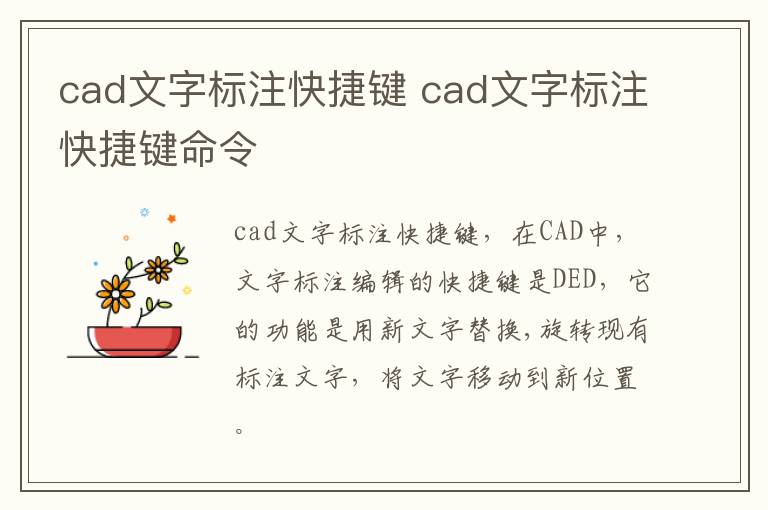 cad文字标注快捷键 cad文字标注快捷键命令