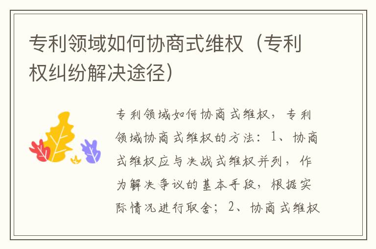 专利领域如何协商式维权（专利权纠纷解决途径）