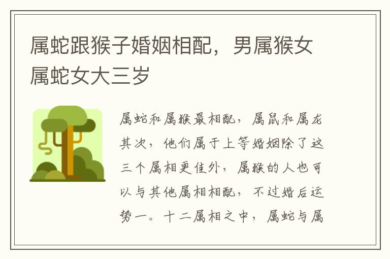 属蛇跟猴子婚姻相配，男属猴女属蛇女大三岁